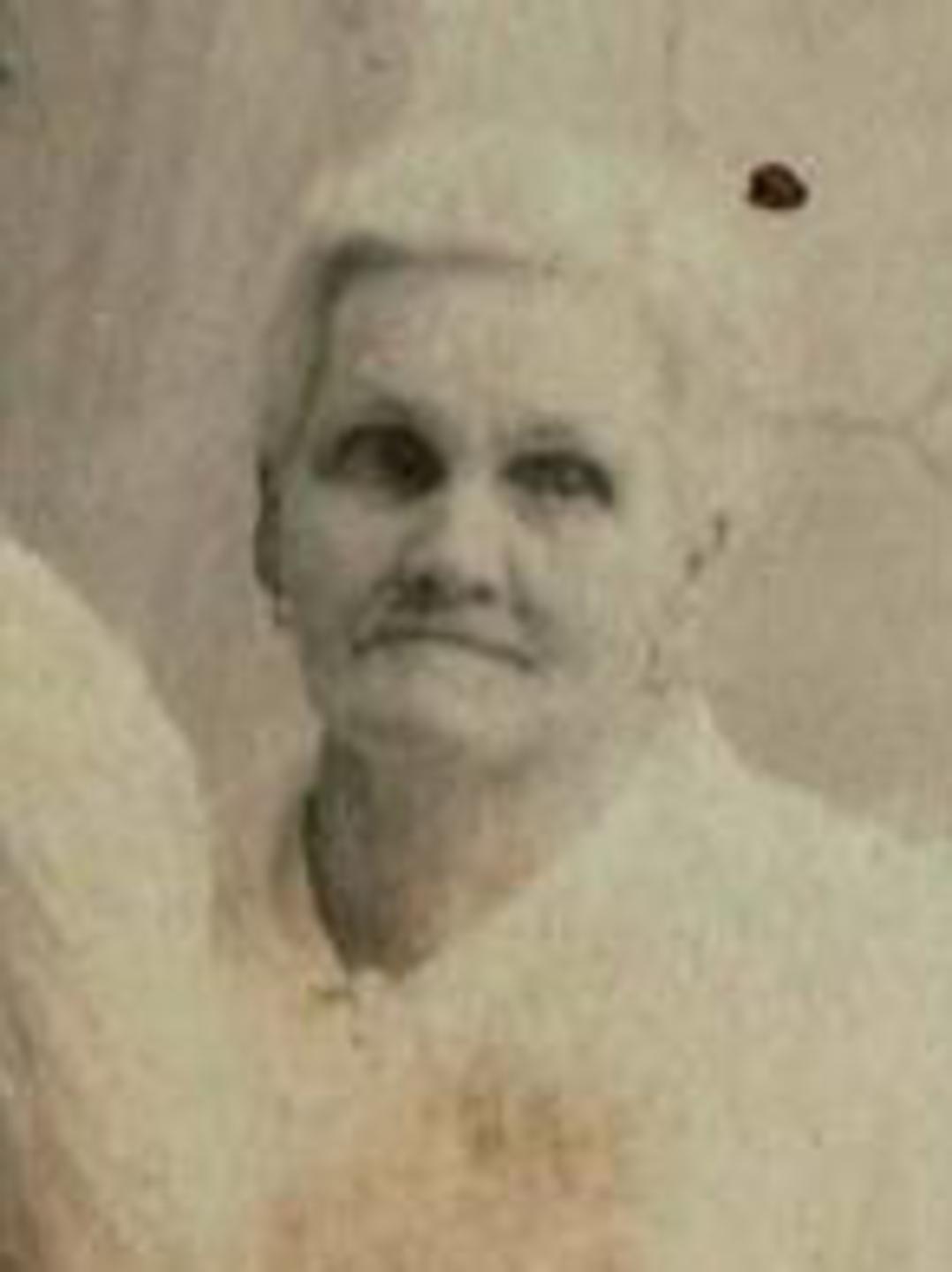 Anna Leigh (1847 - 1935) Profile
